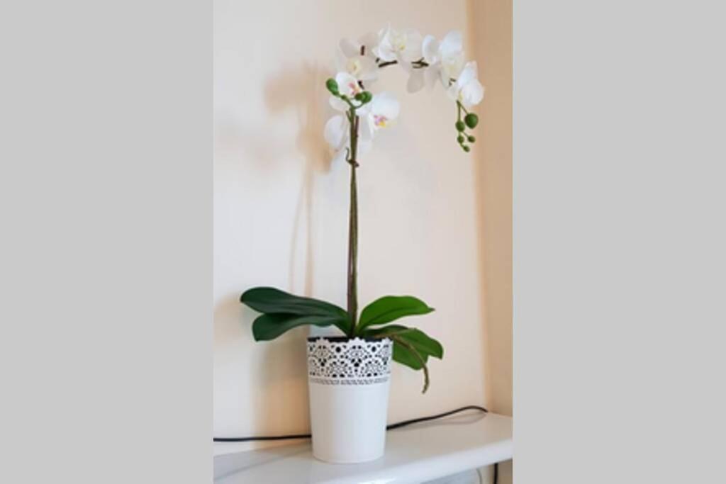Cozy Modern Apartment Astoria Magic Orange Old Town كراكوفيا المظهر الخارجي الصورة